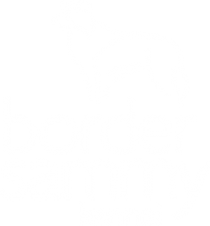 Canil Border Sammy